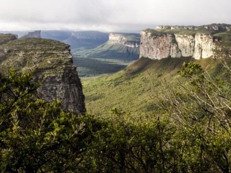 Chapada Diamantina. Foto: Magdalena Paluchowska / Shutterstock.com