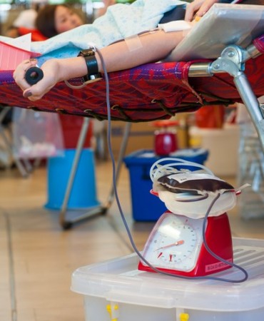 Doação de sangue. Foto: Vasin Lee / Shutterstock.com