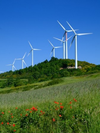 Usinas de Energia Eólica. Foto: Walter Caterina / Shutterstock.com