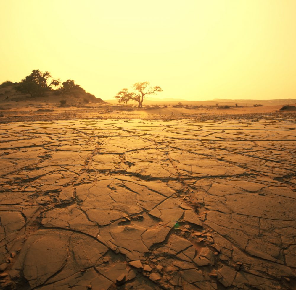 Resultado de imagem para deserto