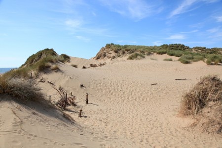 Dunas. Foto: Rob Noble [CC-BY-SA 2.0] / via Geograph.org.uk