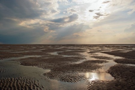 Maré baixa. Foto: Anselm Baumgart / Shutterstock.com