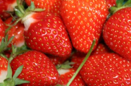 Morangos. Foto: Mobius / Wikimedia Commons
