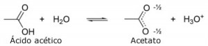 acido acetico acido acetico