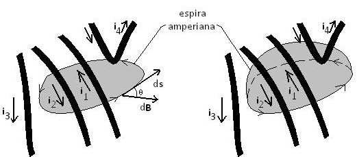 Biologia online