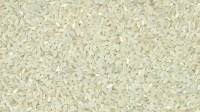 Arroz Arroz
