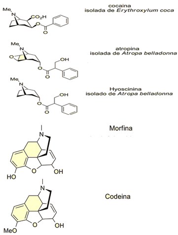 Conteudo de bioquimica