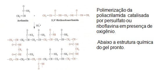 Geografia fisica aplicada