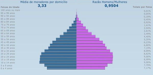 piramide populacional ibge 2010
