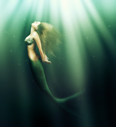 SIREN SONG — la-sirena-solitaria: Mako Mermaids by