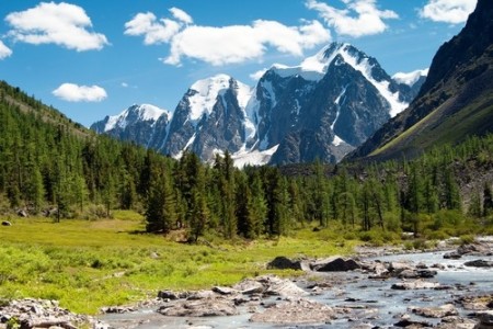 Taiga ou Floresta Boreal, na Sibéria (Rússia). Foto: Daniel Prudek / Shutterstock.com