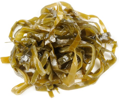 Kombu. Foto: Imageman / Shutterstock.com