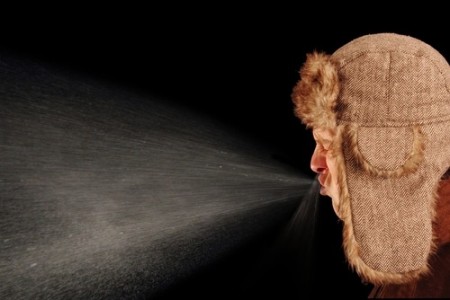 Foto: RioPatuca / Shutterstock.com