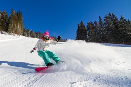 Snowboard. Foto: Dennis van de Water / Shutterstock.com