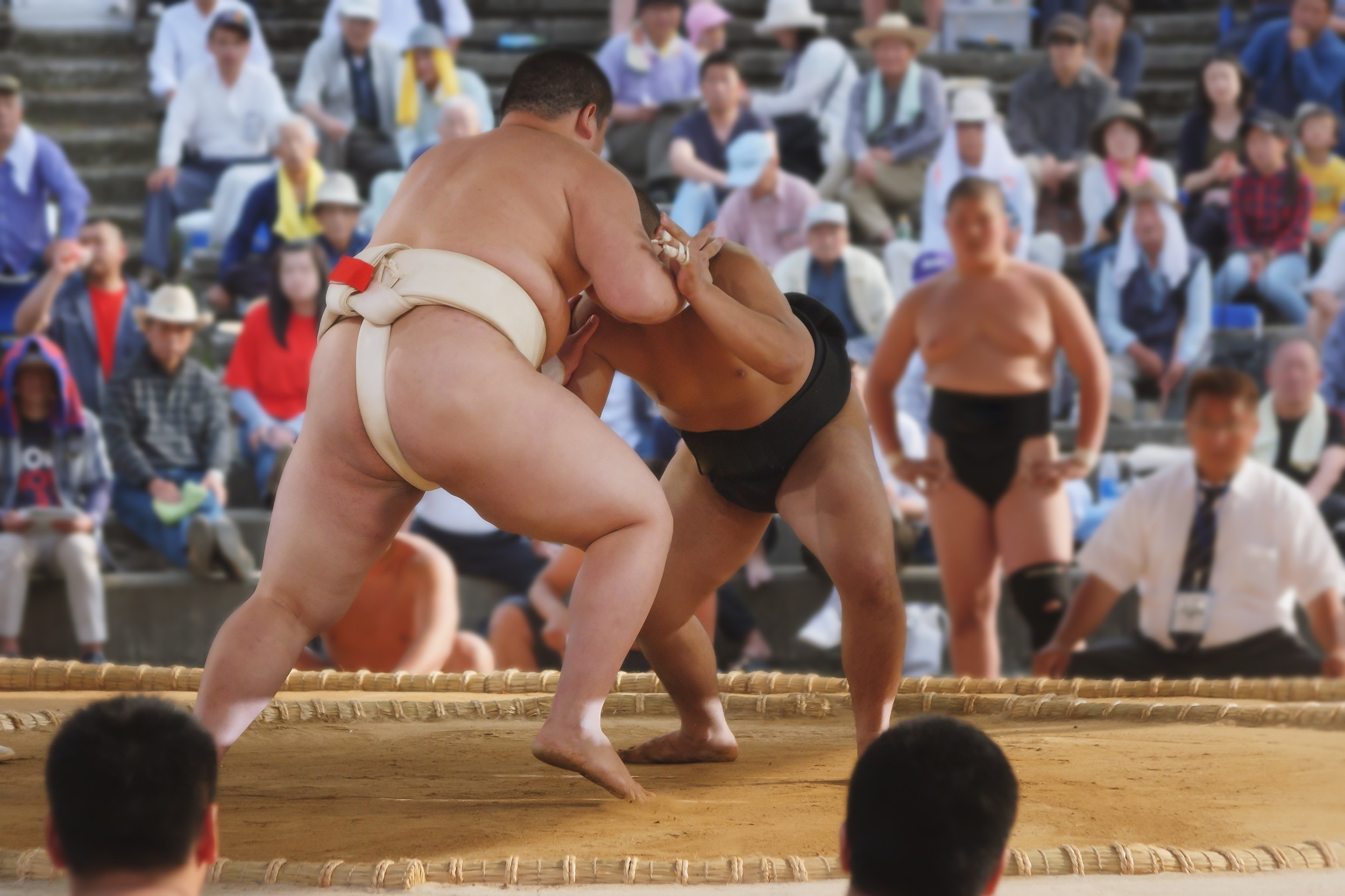 Sumo: Quem disse que gordura não pode ser formosura no desporto? - Mais  modalidades - SAPO Desporto