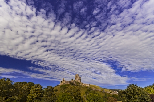 Cirrocumulus. Foto: allou / Shutterstock.com