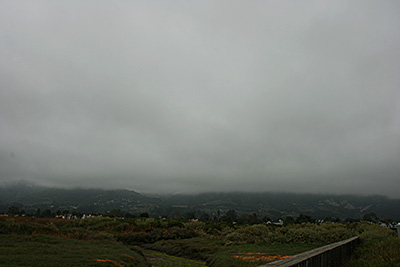 Stratus. Foto: NOAA