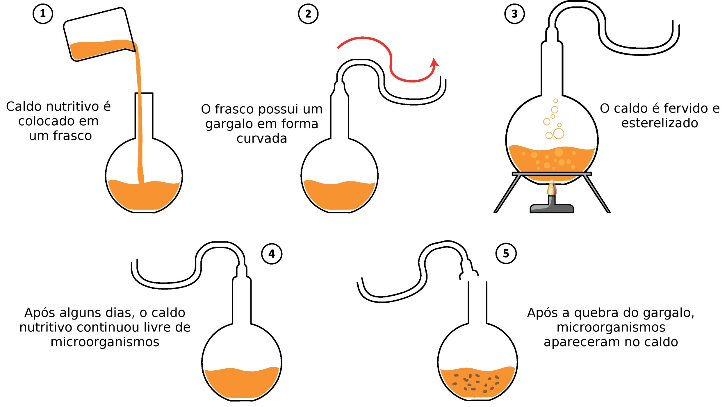 Trabalho CMSP, PDF, Abiogênese