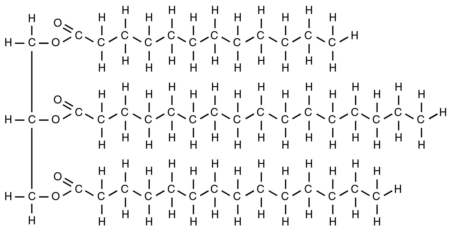 O que é bioquimica dos alimentos