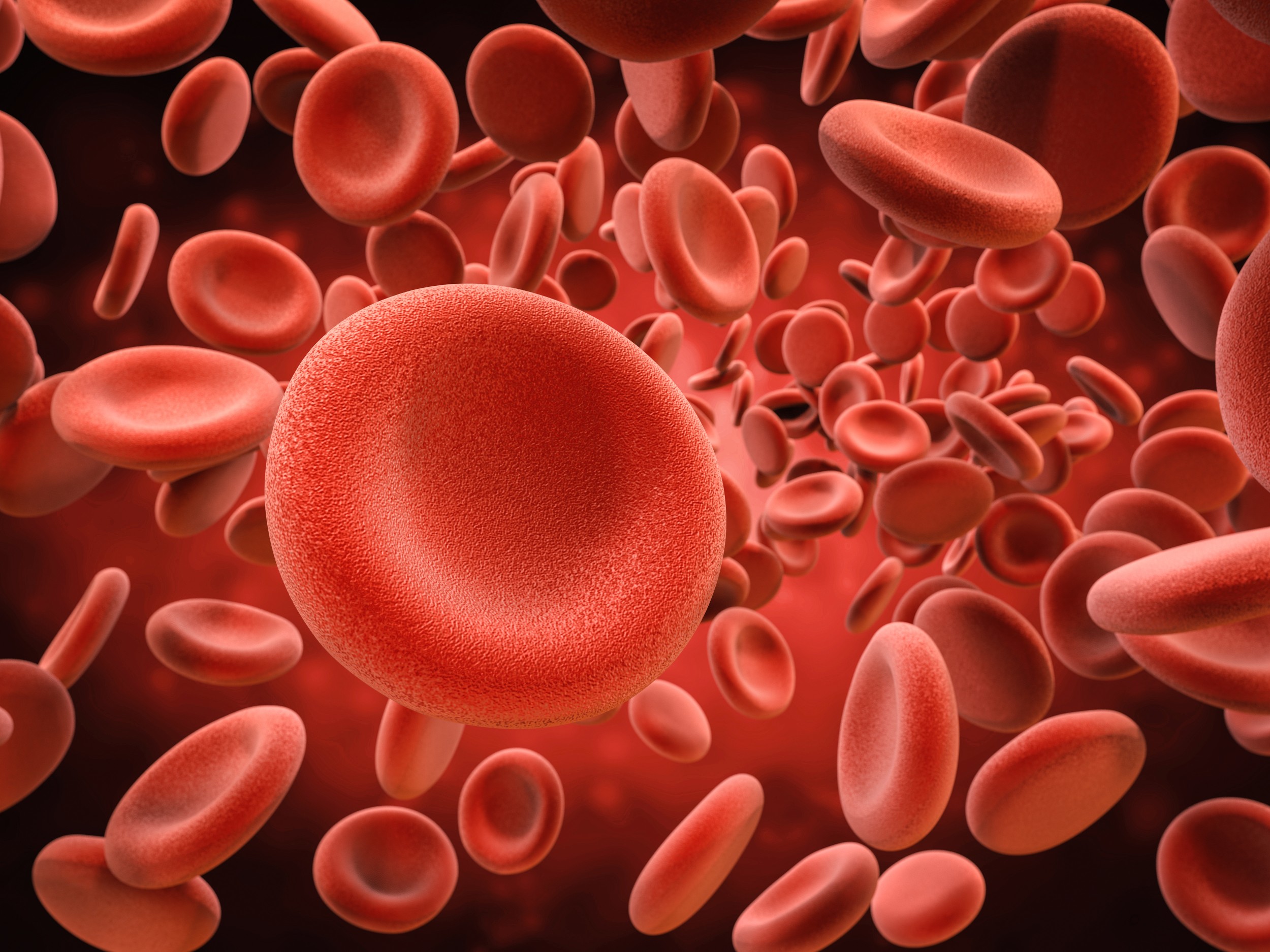Hemácias - Eritrócitos ou Glóbulos Vermelhos - Sangue - InfoEscola