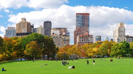 Central Park, bem no centro de Nova York. Foto: Songquan Deng / Shutterstock.com