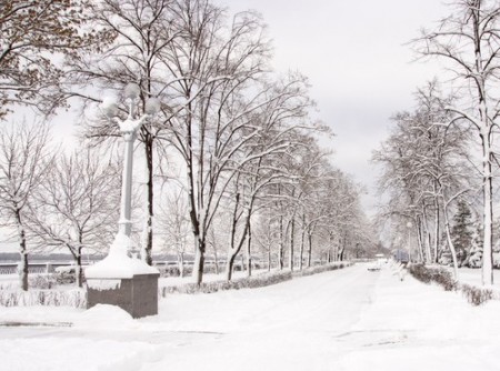 Em muitos lugares do planeta, os invernos são rigorosos, com grande precipitação de neve. Foto: Volkova Irina / Shutterstock.com