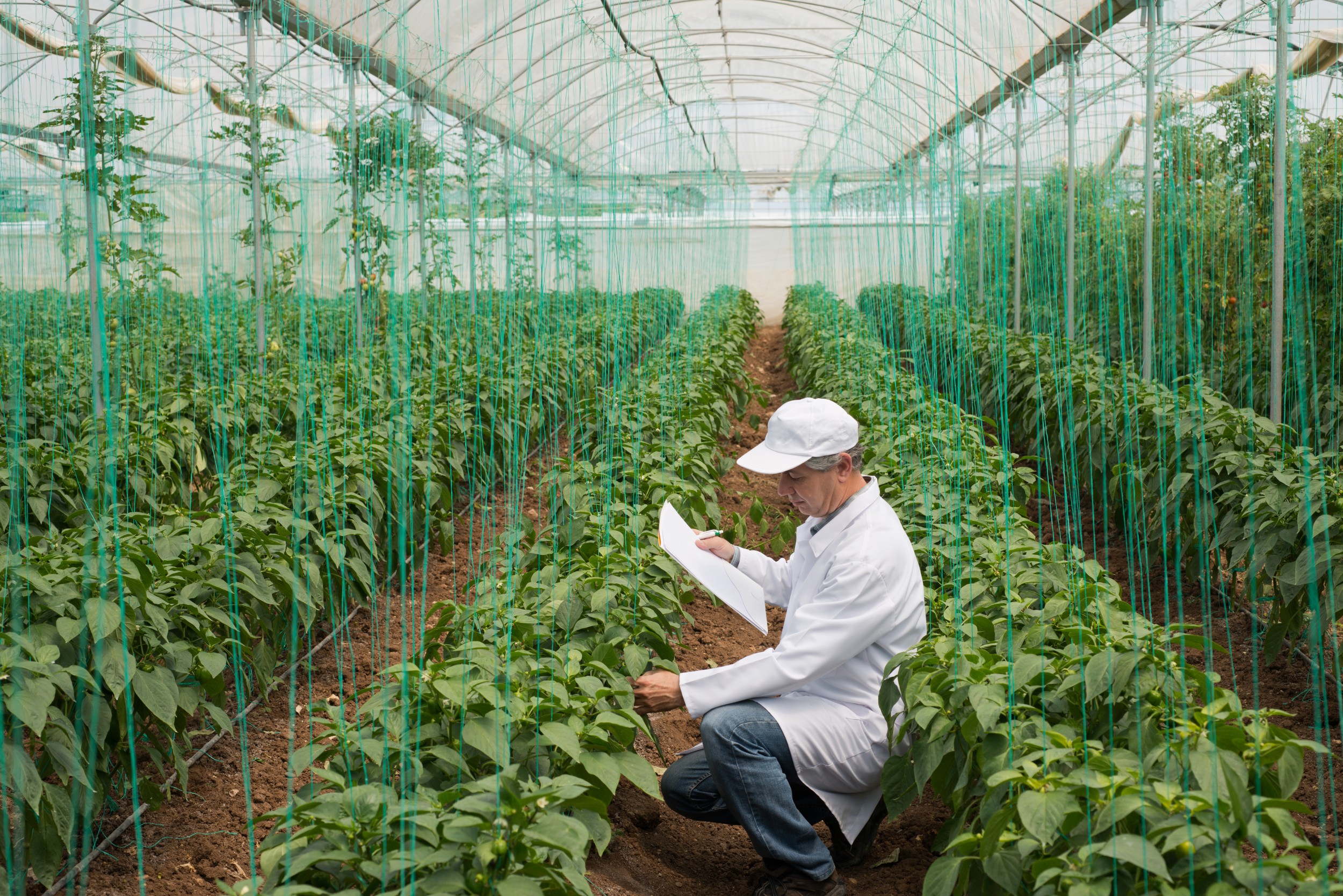 Engenharia de Alimentos - InfoEscola