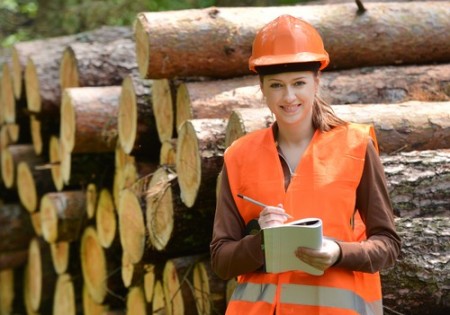 Engenheira florestal. Foto: Piotr Krzeslak / Shutterstock.com