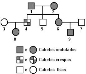 Genealogia