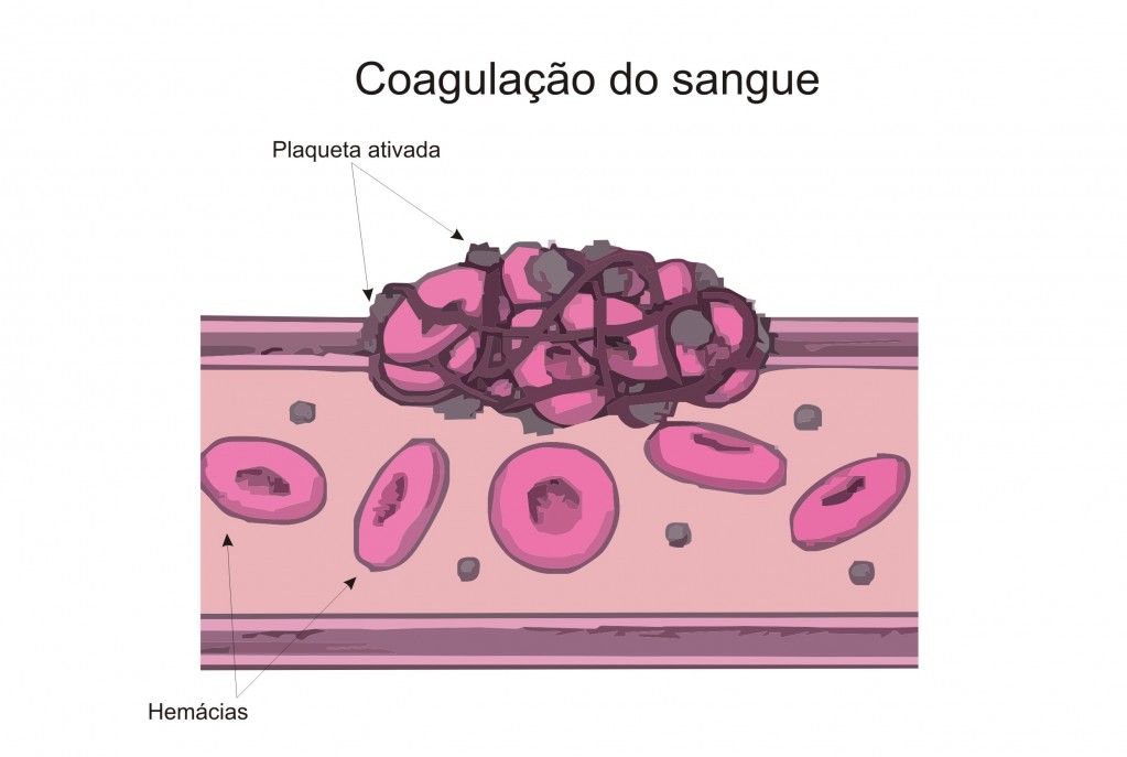 Coagulação sanguínea