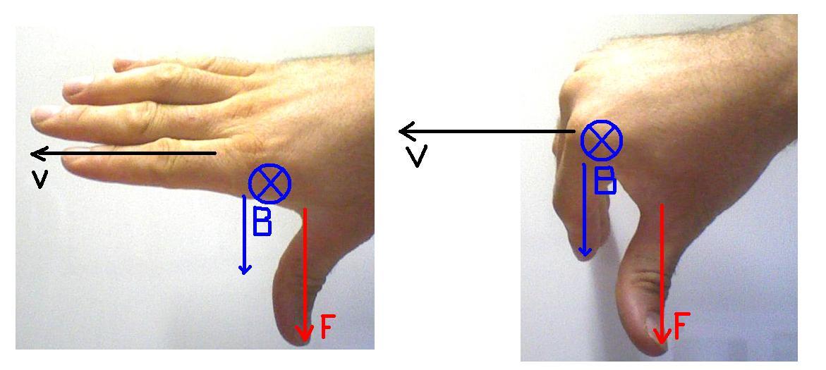 Figura 02: representação da regra da mão direita para a força magnética utilizando os dedos e o polegar para representar os eixos v, B e F.