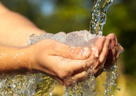 Foto: Ievgen Sosnytskyi / Shutterstock.com