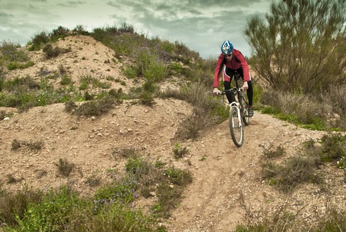 Mountain Bike. Foto: David Puerto / Shutterstock.com