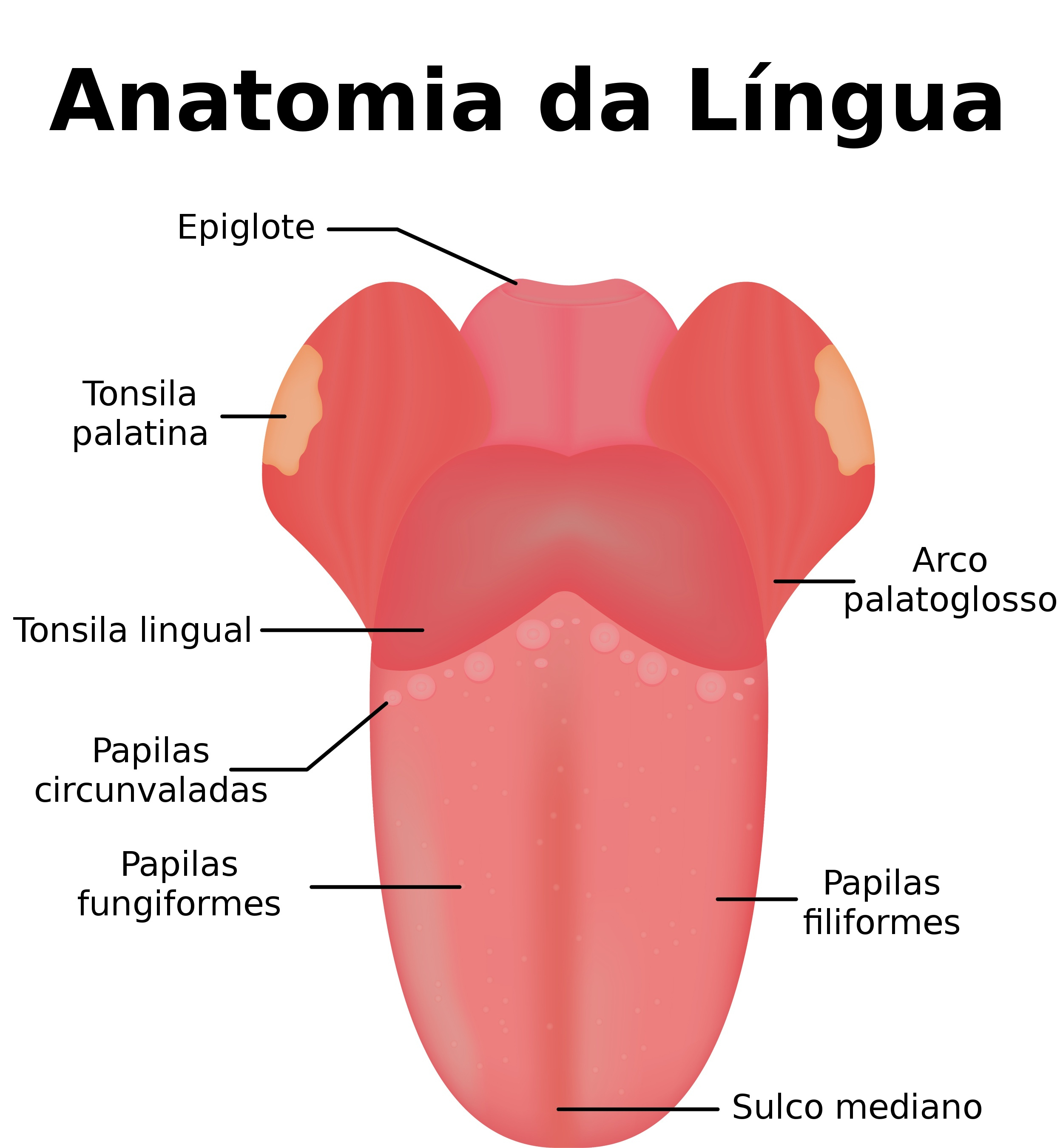 Orgao L ngua Em Ingl s FDPLEARN Orgao L ngua Em Ingl s FDPLEARN