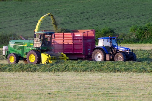 Silagem. Foto: Air Images / Shutterstock.com