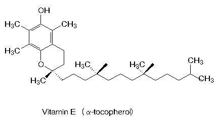 Vitamina E - fontes e importância - Nutrição - InfoEscola