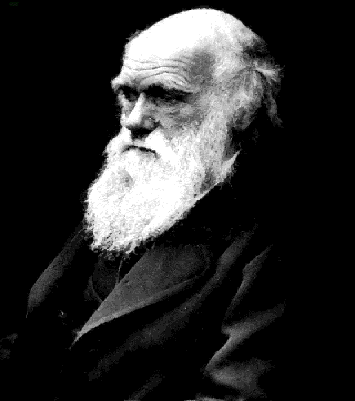 Seleção natural - Teoria Evolutiva de Darwin - InfoEscola