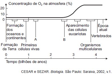 Origem da vida