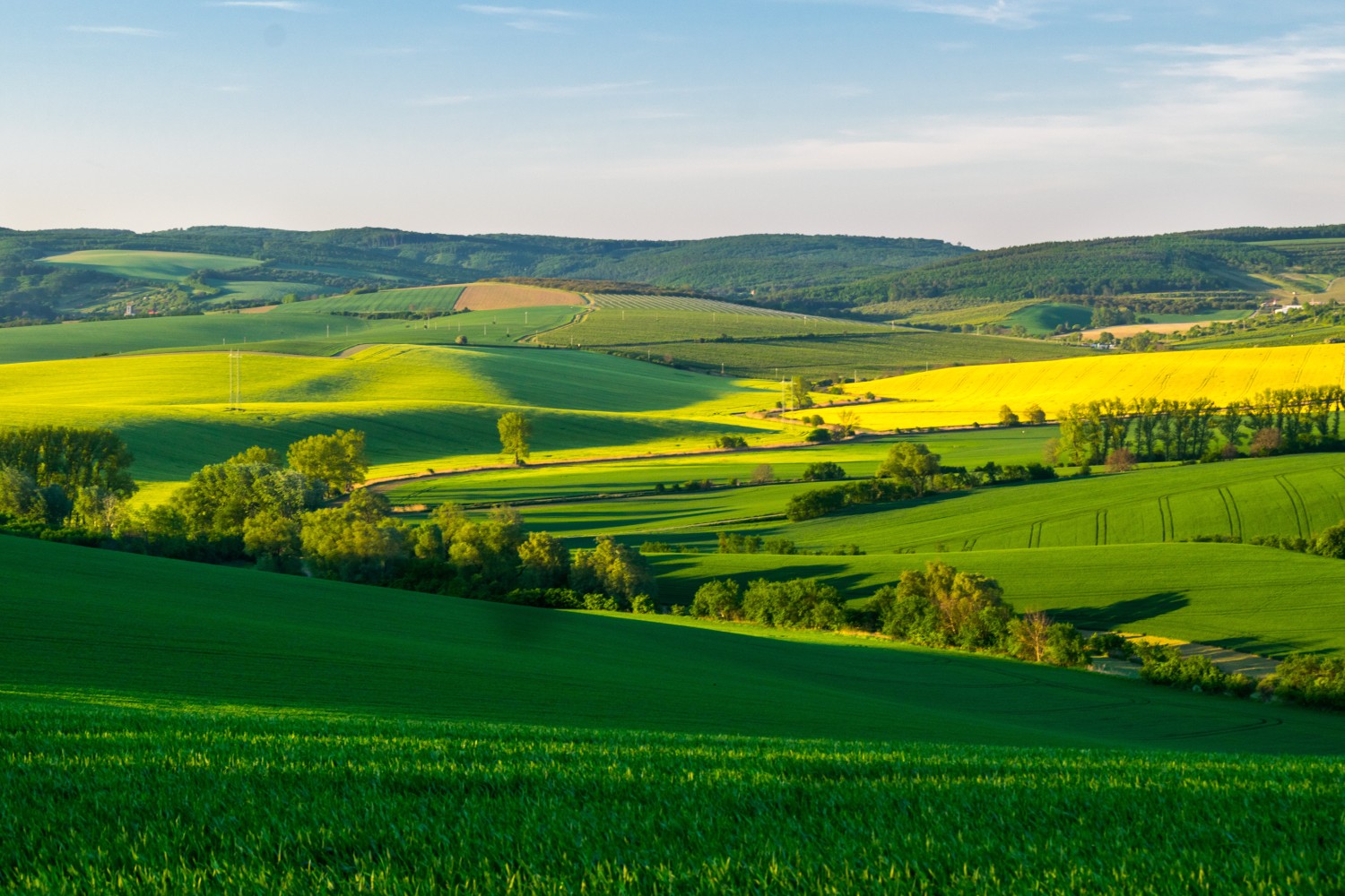 Língua Portuguesa, Arte e Geografia – Paisagens brasileiras