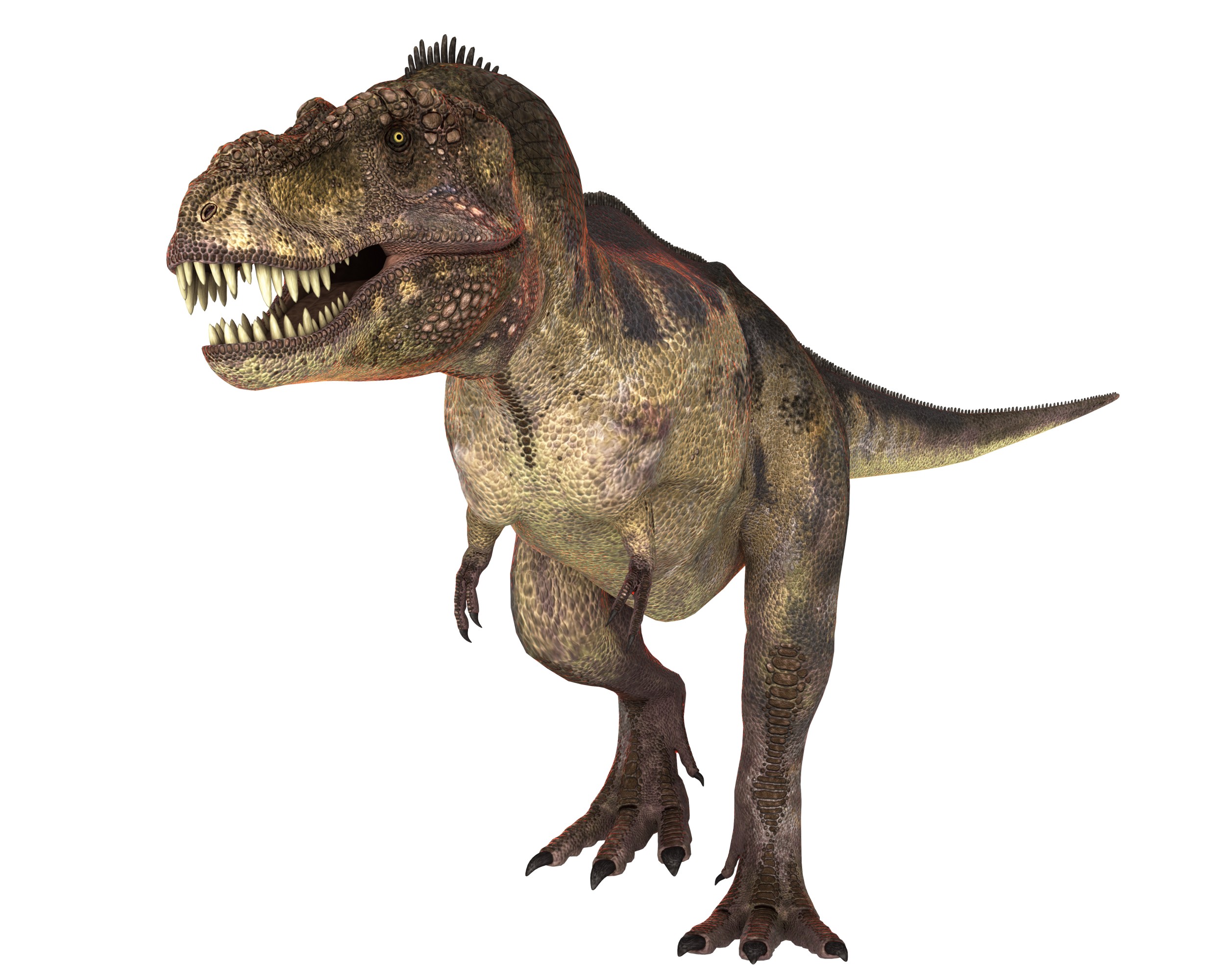 Tiranossauro Rex