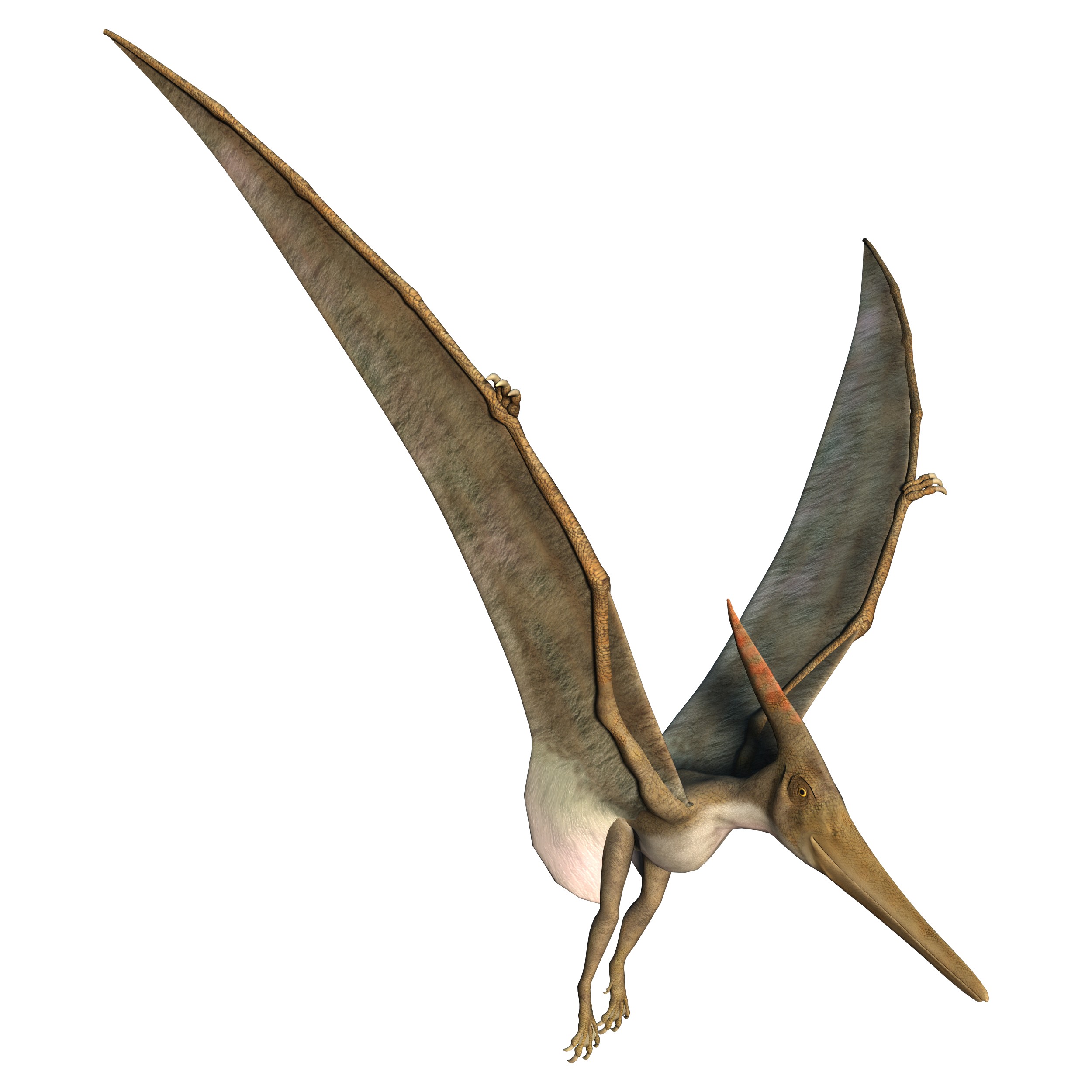 Quando os Dinossauros Dominavam a Terra - Pterodáctilo O