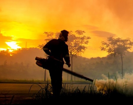 O nebulizador é um equipamento muito utilizado no combate às larvas e mosquitos da dengue. Foto: mrfiza / Shutterstock.com