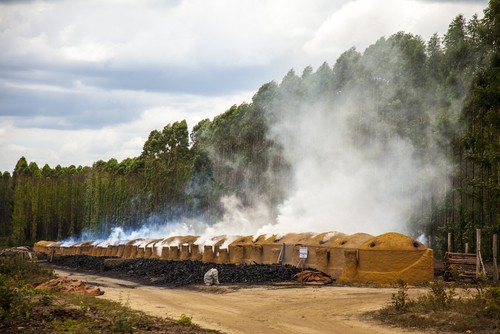 Fornos utilizados na produção de carvão vegetal. Foto: Beto Chagas / Shutterstock.com