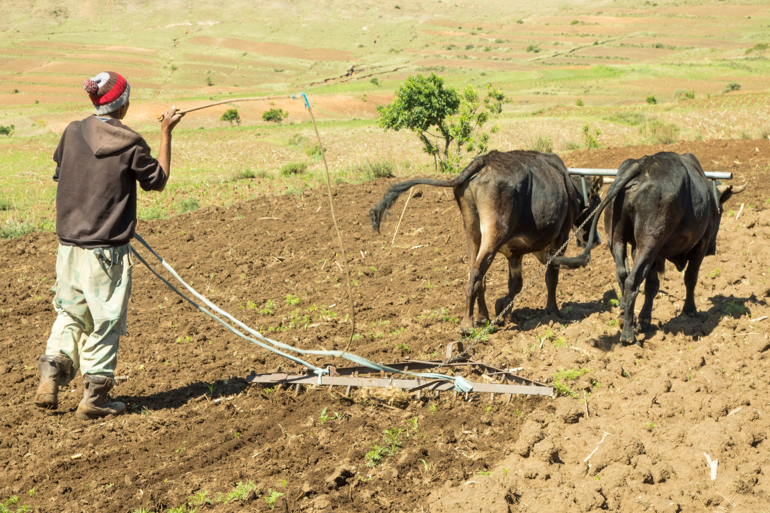 Agricultura De Subsistência Economia Infoescola