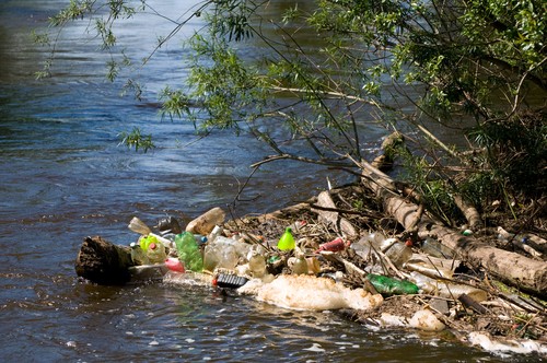 Rio Poluído. Foto: Ariene Studio / Shutterstock.com