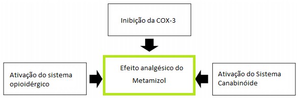 Possíveis mecanismos relacionados ao efeito analgésico da dipirona Traduzido e adaptado de: JASIECKA, A.; MAŚLANKA, T.; JAROSZEWSKI, J. J. Pharmacological characteristics of metamizole. Polish journal of veterinary sciences, v. 17, n. 1, p. 209, 2014.