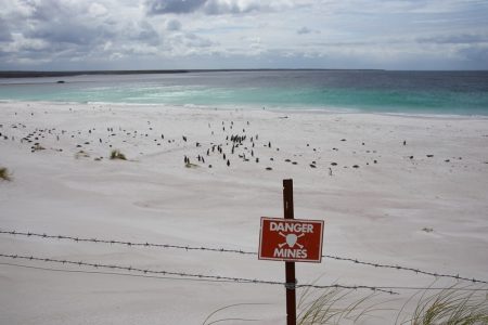 Campo minado na baía de Yorke, Ilhas Falklands. Foto: JeremyRichards / Shutterstock.com