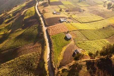 Minifúndios. Foto: Ammit Jack / Shutterstock.com