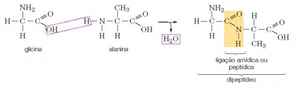 Exemplo de reação peptídica ¹
