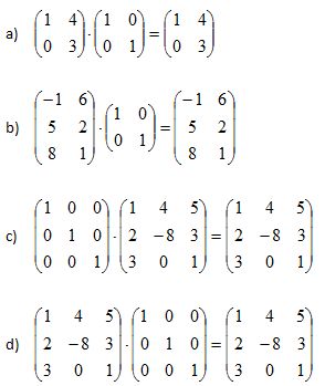 matriz identidade3